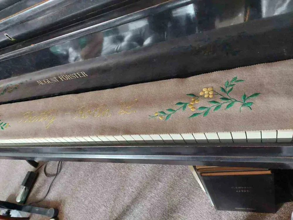 Dečka na klávesnici piana Krátký Kolín nad Labem