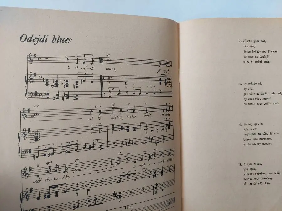 Černé, hnědé a bílé blues - Jerry Silverman