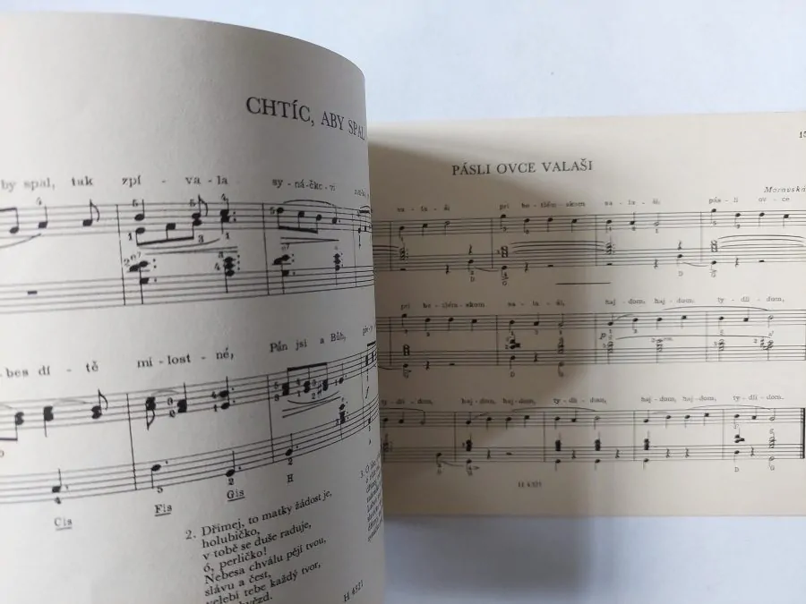 Vánoční koledy - Malý harmonikový repertoár 11 Noty pro akordeon 