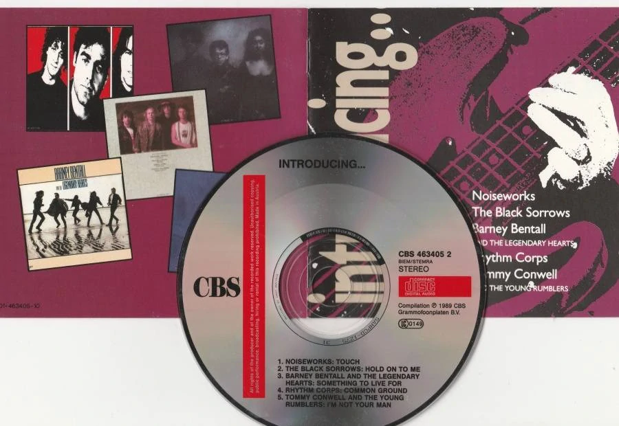 CD Introducing .. CBS 463405 2 Rock 1989