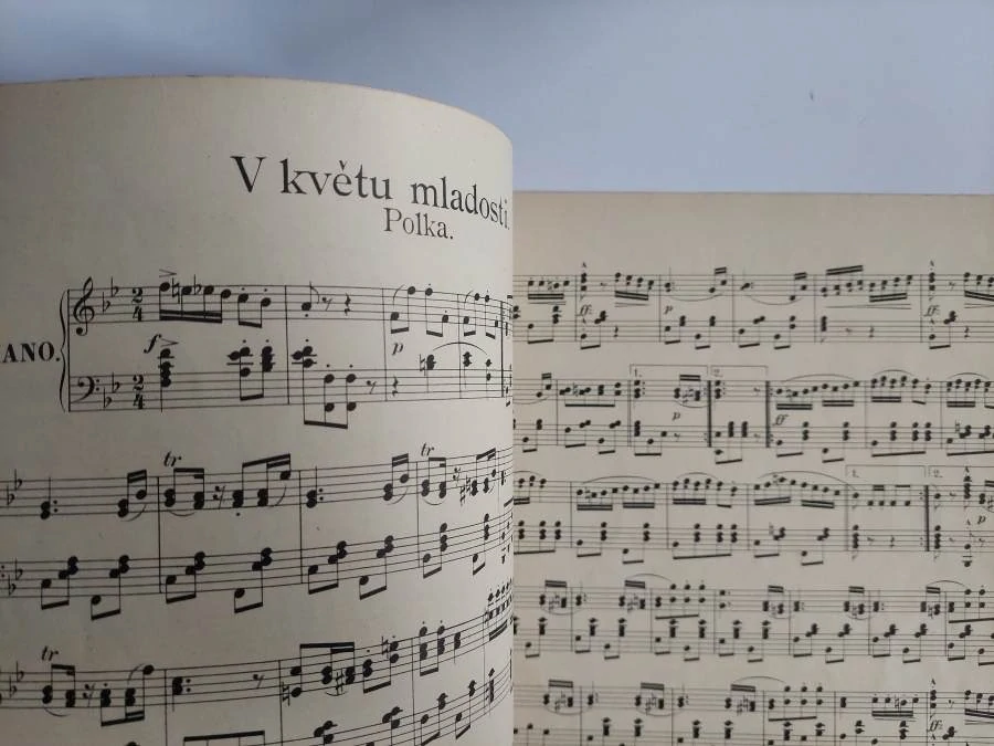 Kmochovo album 1 - František Kmoch 