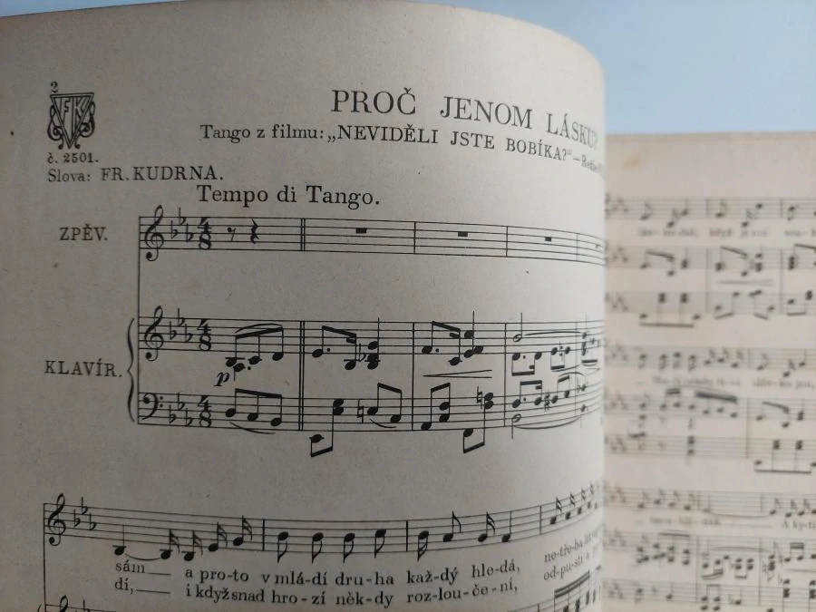 Neviděli jste Bobíka ? Dvě písně z filmu