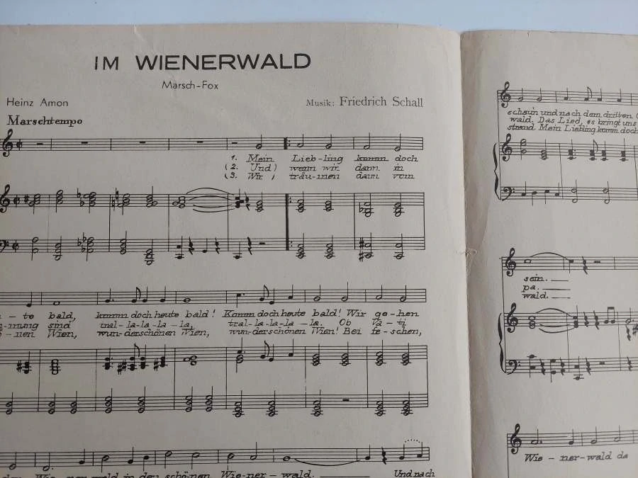 Im Wienerwald - Friedrich Schall