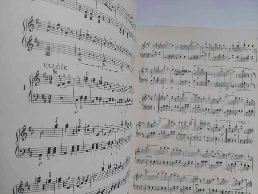 Johann Strauss - Na krásném modrém Dunaji