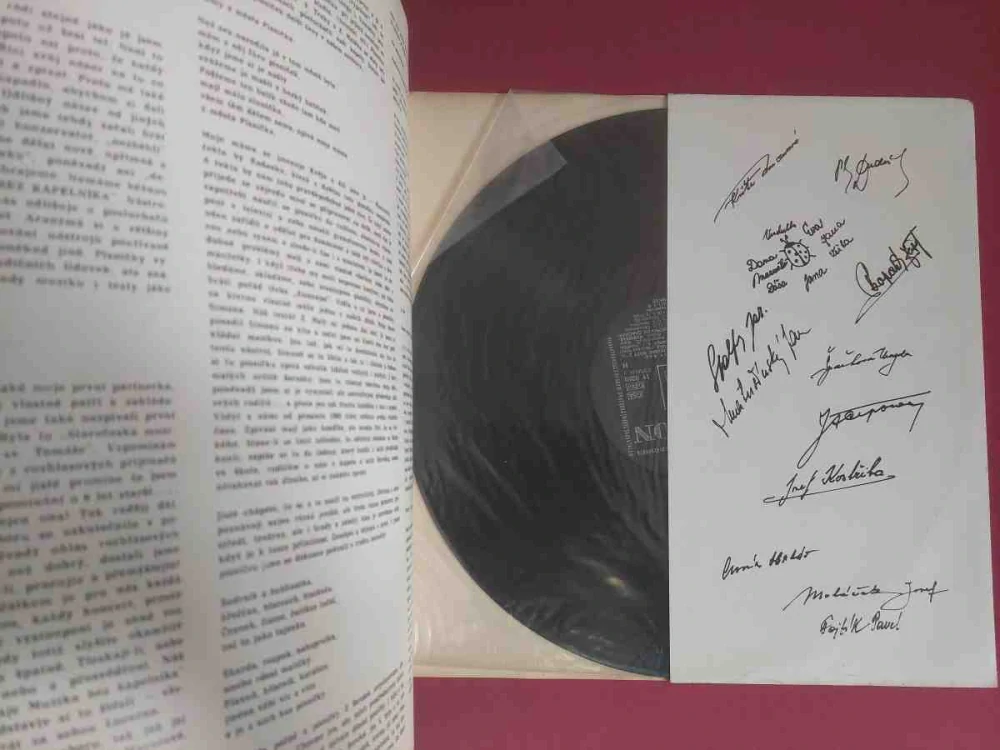 LP Mám písničky rád - Muzika bez kapelníka