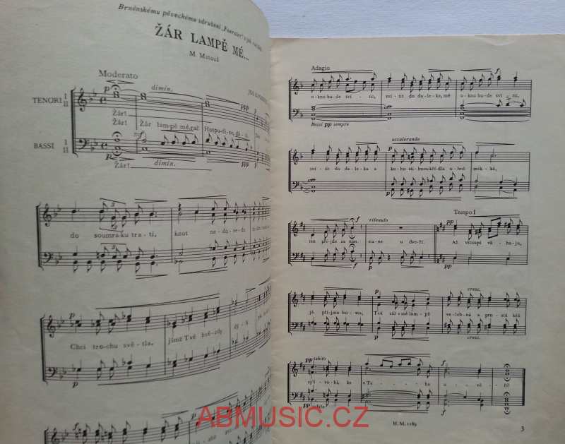 J. B. Foerster - Stopy v písku času op. 192 II.