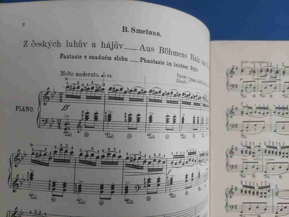 Bedřich Smetana - Z českých luhů a hájů - Snadná (úprava ) fantazie