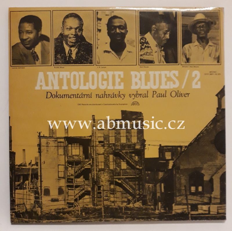 2 LP Antologie blues 2
