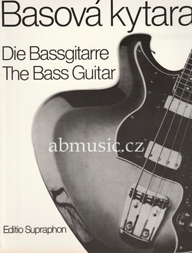 Basová kytara 1 Vladimír Hora