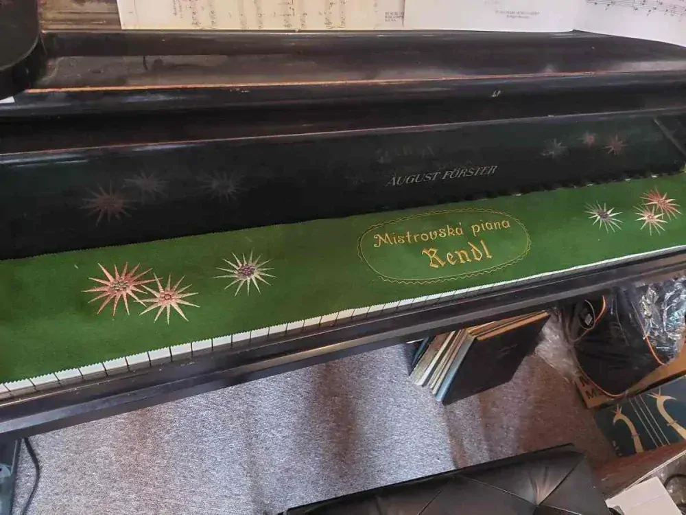 Dečka na klávesnici piana RENDL