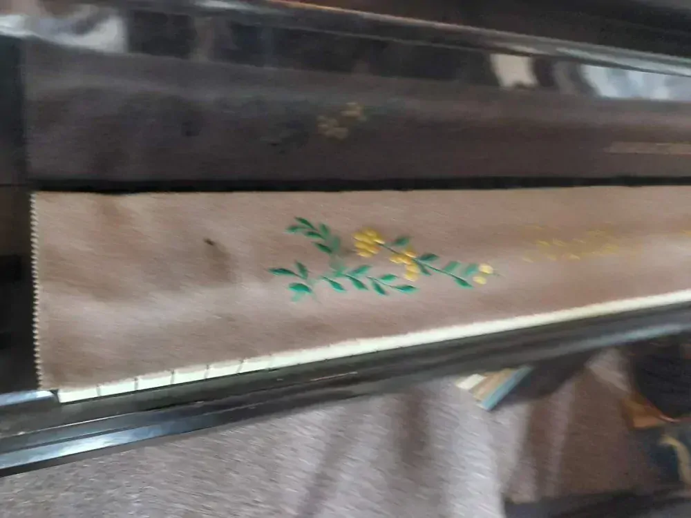 Dečka na klávesnici piana Krátký Kolín nad Labem