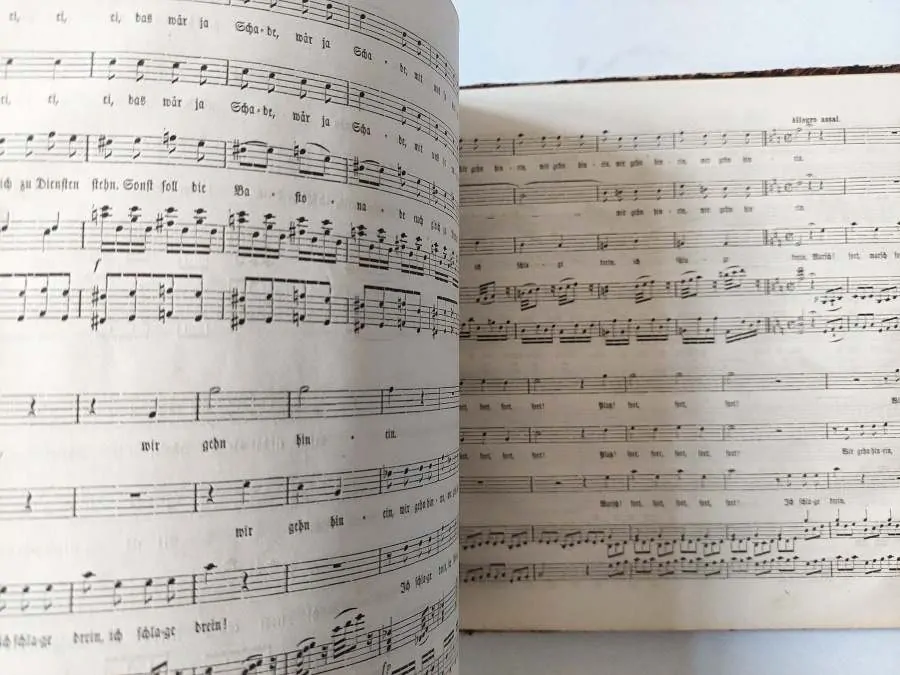 W. A. Mozart - Únos ze Serailu