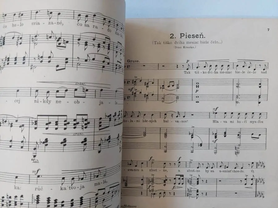 Slzy a úsmevy - Mikuláš Schneider - Trnavský