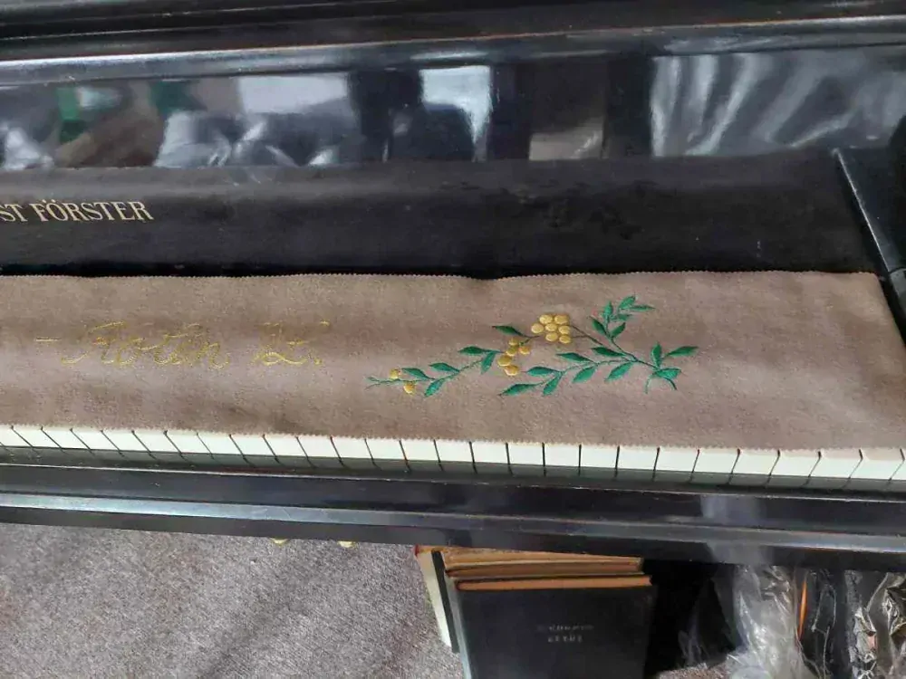 Dečka na klávesnici piana Krátký Kolín nad Labem