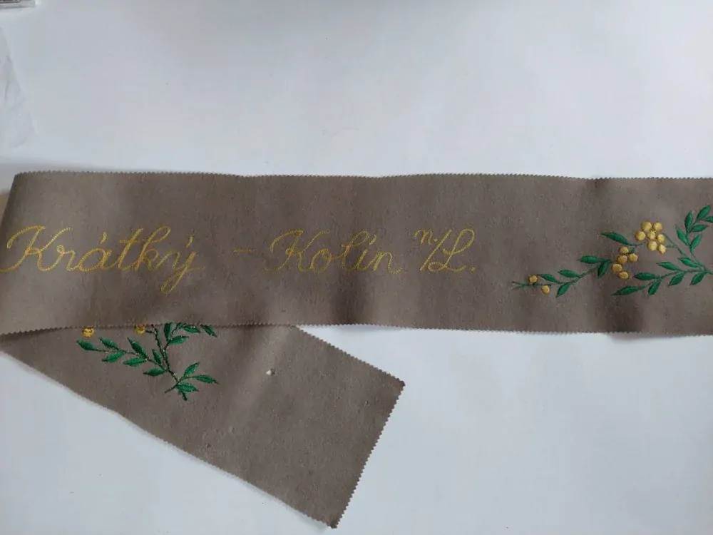 Dečka na klávesnici piana Krátký Kolín nad Labem