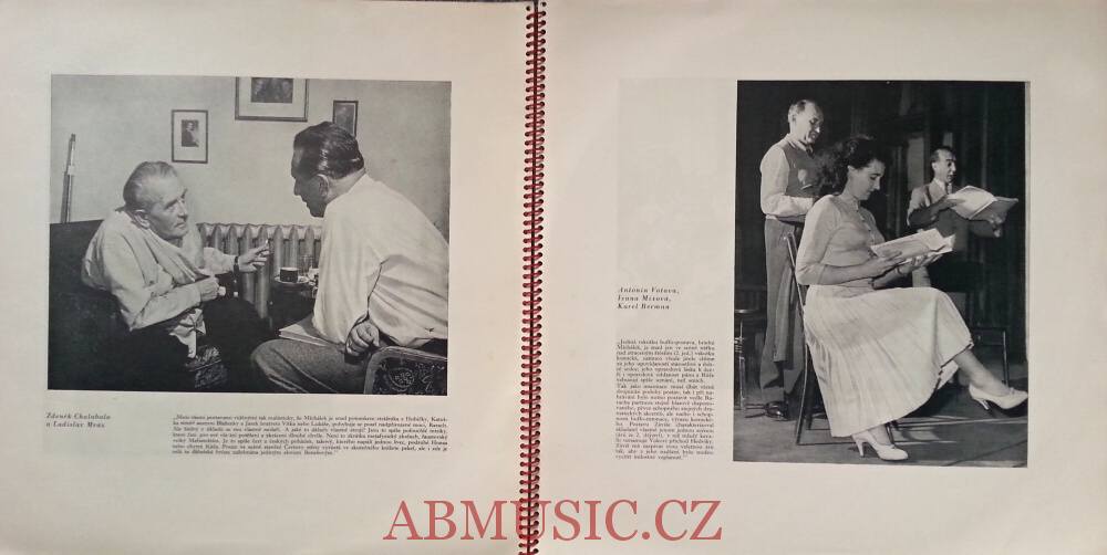 LP Bedřich Smetana - Čertova stěna - 3LP BOX / 3 Vinyl