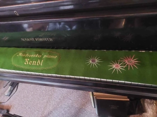 Dečka na klávesnici piana RENDL