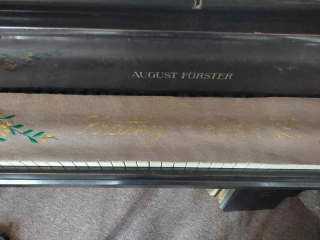 Dečka na klávesnici piana Krátký Kolín nad Labem