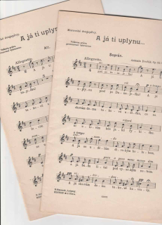 Antonín Dvořák - A já ti uplynu - Moravské dvojzpěvy