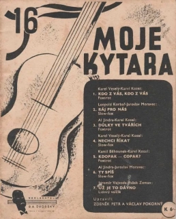 Moje kytara 16