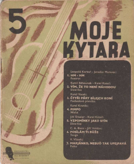 Moje kytara 5