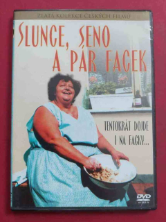 DVD Slunce, seno a pár facek