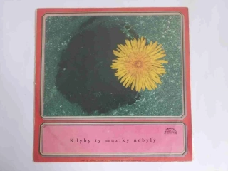 LP Kdyby ty muziky nebyly