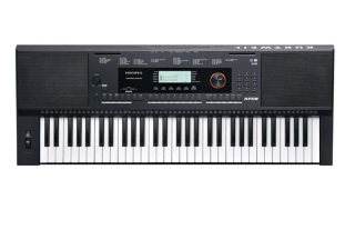Kurzweil KP110