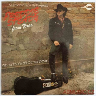 Freddie Steady – When The Wall Came Down LP deska / Vinyl