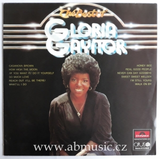 LP Gloria Gaynor - Never Can Say Goodbye